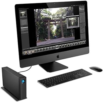 LaCie d2 Professional, 10TB, External Hard Drive Desktop, Thunderbolt 3 USB-C, 7200 RPM Enterprise Class Drives, for Mac and PC Desktop, 1 Month Adobe CC, 5 Year Rescue Services (STHA10000800)