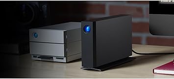 LaCie d2 Professional, 10TB, External Hard Drive Desktop, Thunderbolt 3 USB-C, 7200 RPM Enterprise Class Drives, for Mac and PC Desktop, 1 Month Adobe CC, 5 Year Rescue Services (STHA10000800)