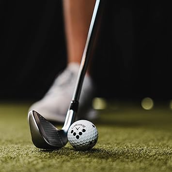 Rapsodo MLM2PRO Mobile Launch Monitor + Golf Simulator,Grey