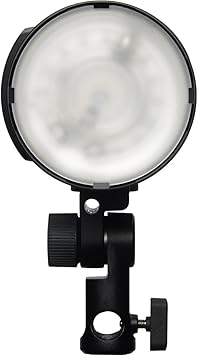 Profoto B10X Off-Camera Flash and Continuous Light