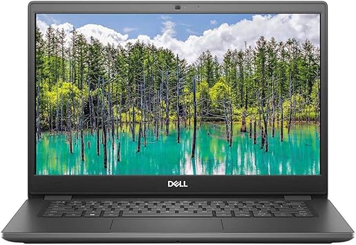Dell 14 SSD G10 i5 8G 256G W10P, R92RT