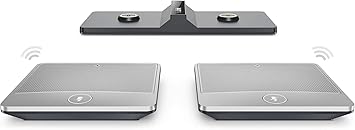 Yealink CPW90 Two wireless microphones for CP960
