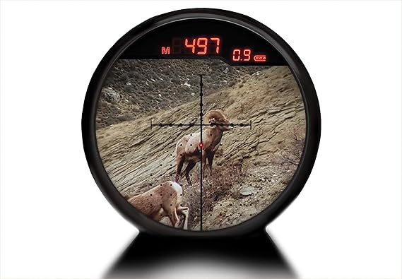Burris 200116 Eliminator 4-16 x 50 x 96 Scope, Black