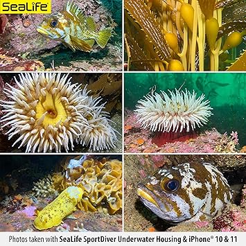 SeaLife Underwater Smartphone Scuba Case & Sea Dragon 2500 Lumen Light, Waterproof Photography, Access Camera Controls, Leak Alarms, Fits Most Phones